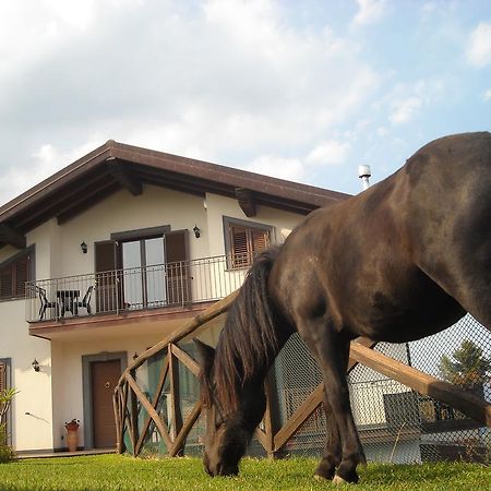 Aurora Dell'Etna Bed & Breakfast Zafferana Etnea Dış mekan fotoğraf