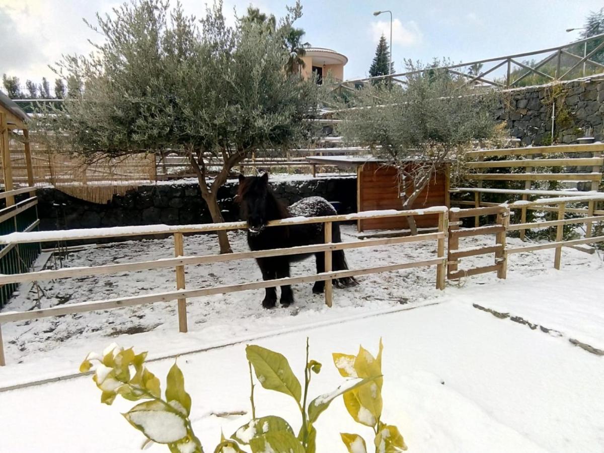 Aurora Dell'Etna Bed & Breakfast Zafferana Etnea Dış mekan fotoğraf