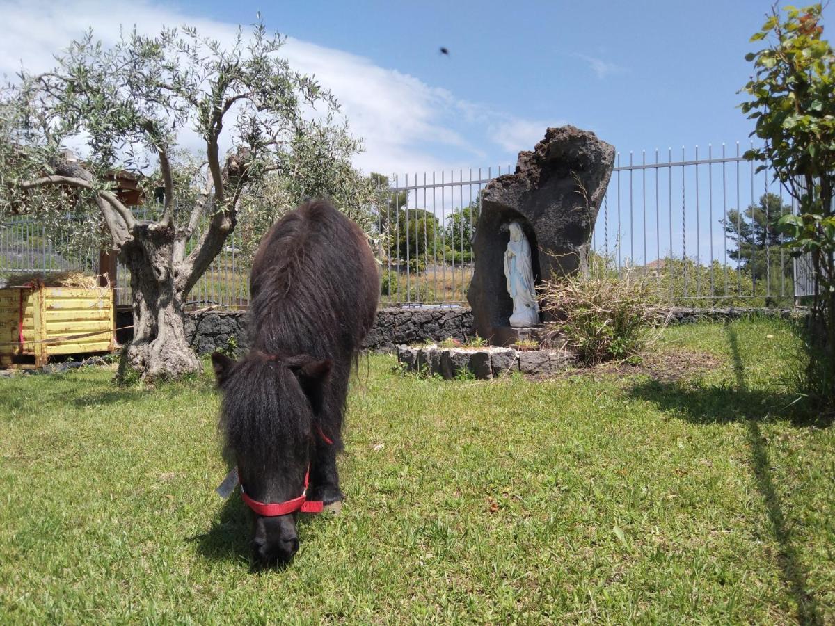 Aurora Dell'Etna Bed & Breakfast Zafferana Etnea Dış mekan fotoğraf