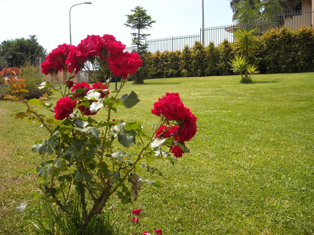 Aurora Dell'Etna Bed & Breakfast Zafferana Etnea Dış mekan fotoğraf