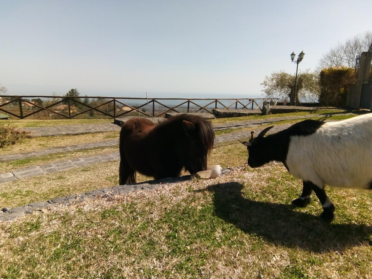 Aurora Dell'Etna Bed & Breakfast Zafferana Etnea Dış mekan fotoğraf