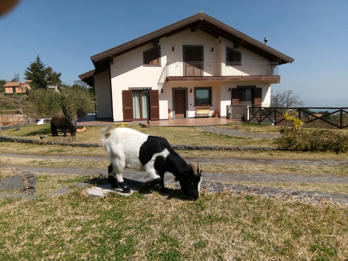 Aurora Dell'Etna Bed & Breakfast Zafferana Etnea Dış mekan fotoğraf